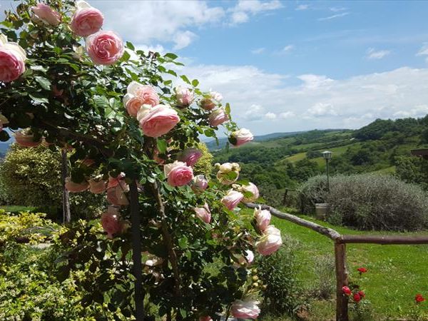 Agriturismo Antiche Dimore di Poggianto - foto 47737.jpg