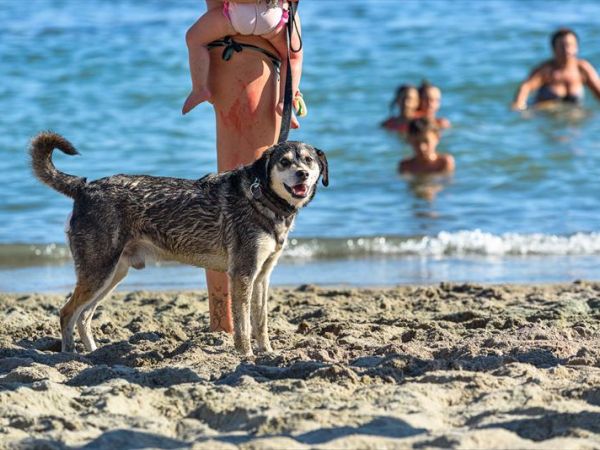 Villaggio Orizzonte - foto 47850.jpg