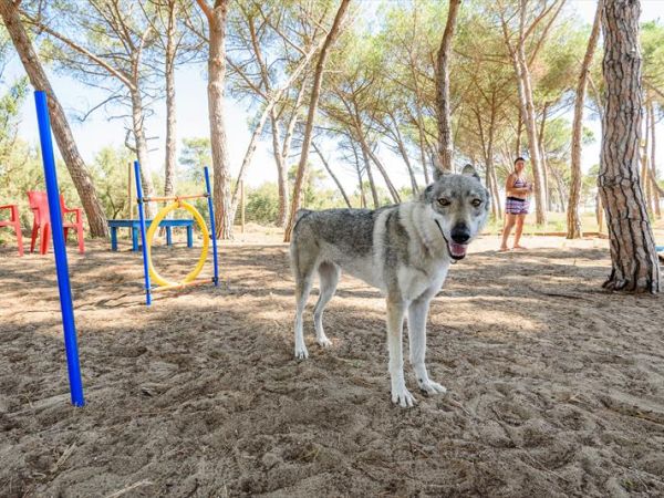 Villaggio Orizzonte - foto 47861.jpg