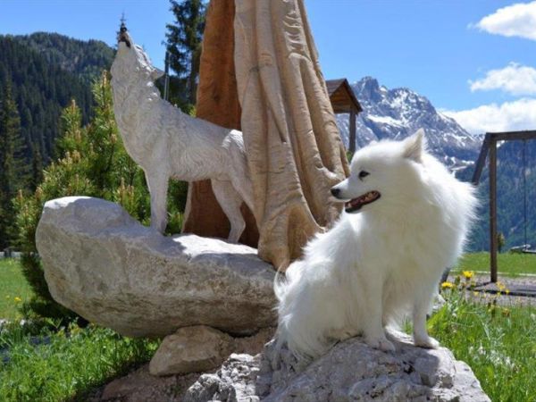 Hotel Lupo Bianco Wellness & Walking - foto 47880.jpg