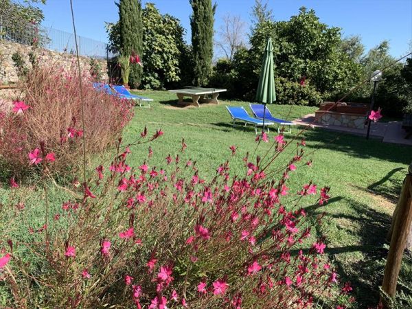 Podere LOrsinghi - foto 47887.jpg