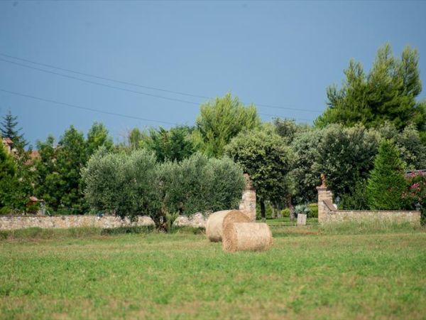 Antico Podere San Francesco - foto 48006.jpg