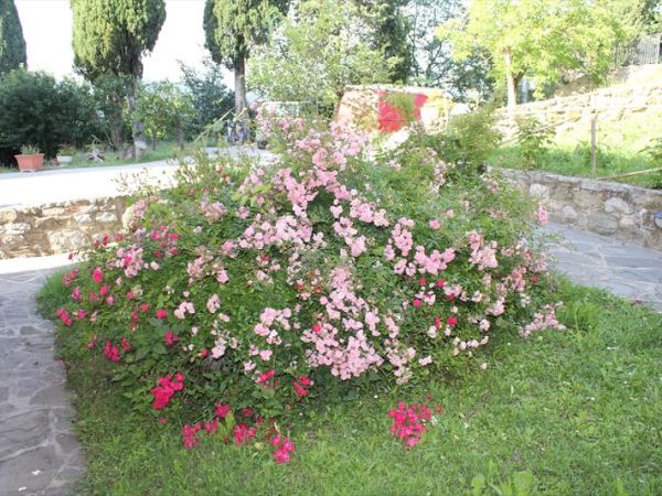 Badia il Vingone - foto 48066.jpg