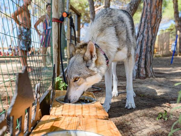 Villaggio Orizzonte - foto 48077.jpg