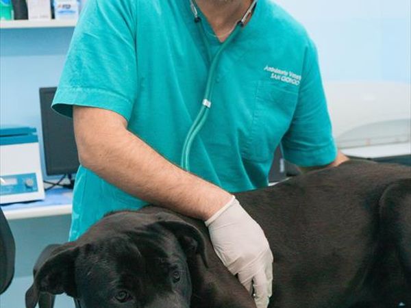 Villaggio Club degli Ulivi - foto 48091.jpg