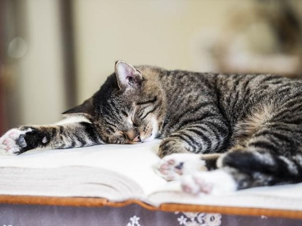 Romantik Hotel Stafler - foto 48255.jpg