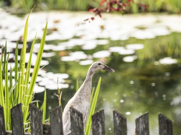 Romantik Hotel Stafler - foto 48259.jpg