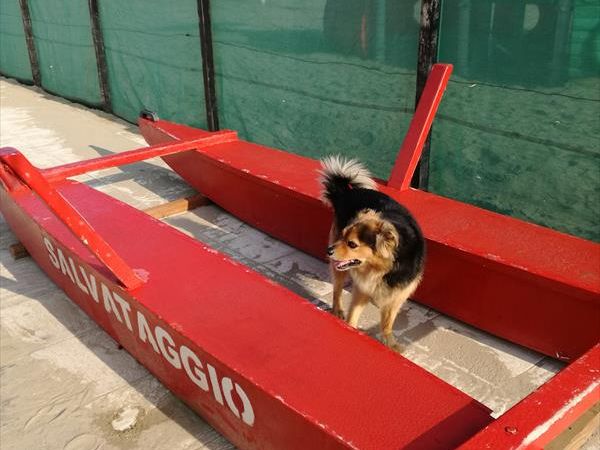 Hotel Viscount - foto 48282.jpg