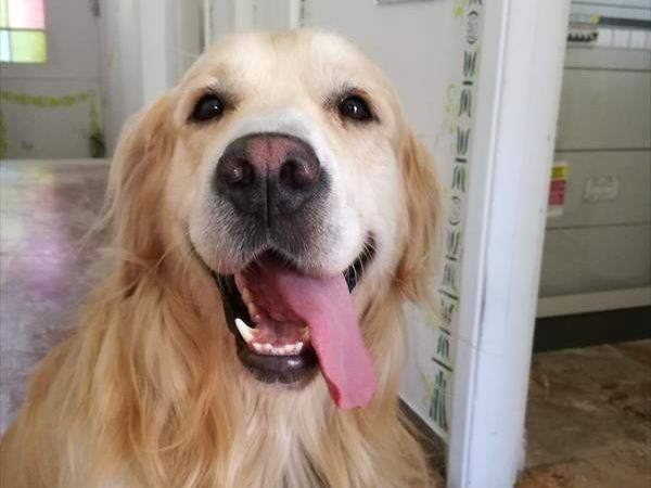 Hotel Viscount - foto 48283.jpg