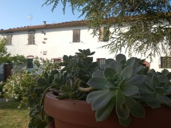 Le Vigne dei Guelfi - foto 48306.jpg