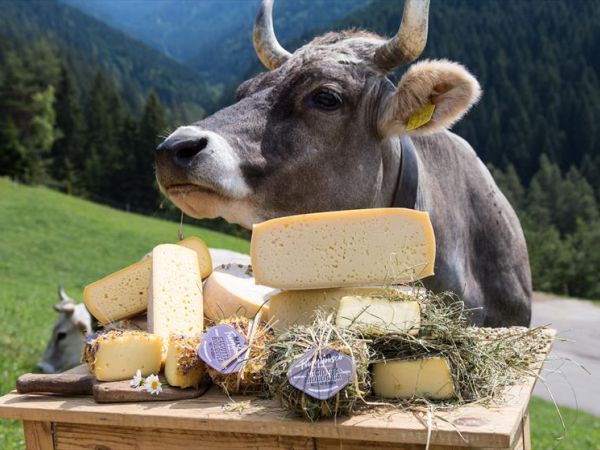 Maso Fior di Bosco - foto 48431.jpg