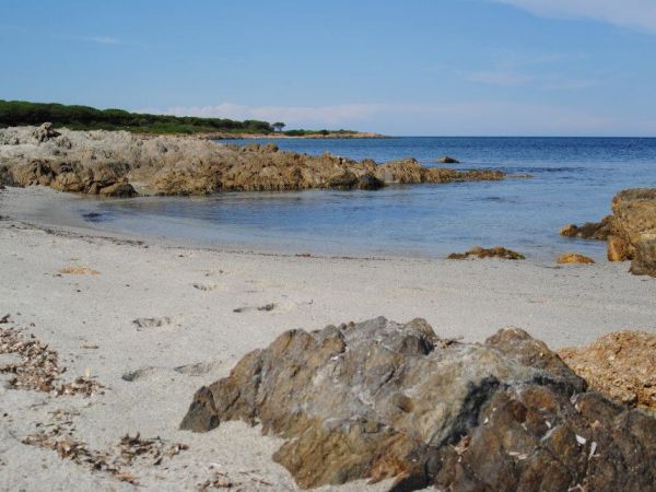 Residence La Pineta - foto 48455.jpg