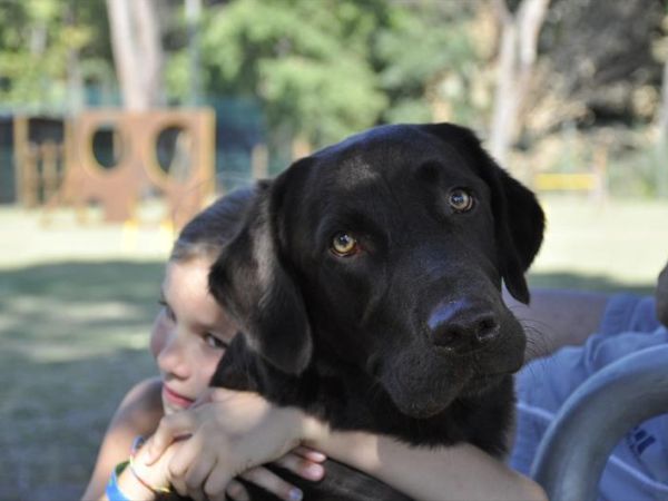 Club Village & Hotel Spiaggia Romea - foto 48475.jpg