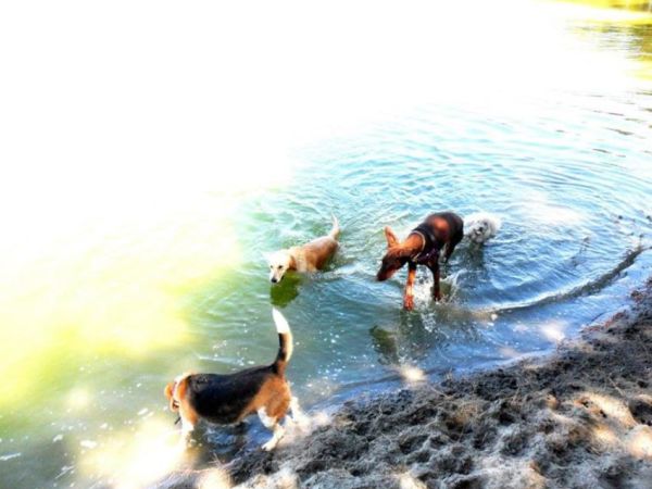 Club Village & Hotel Spiaggia Romea - foto 48483.jpg