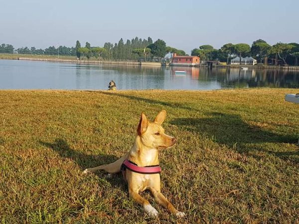 Hotel & Club Village Spiaggia Romea - foto 48484.jpg