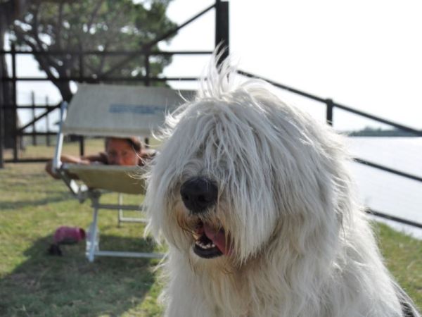 Spiaggia Romea Bau Village - foto 48492.jpg