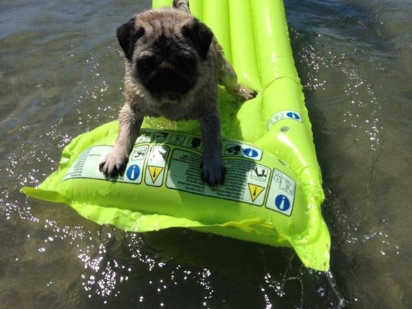 Single Fin Tuscany - foto 48506.jpg