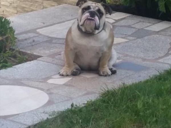 Caldosa - foto 48520.jpg