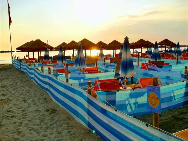 Dog Beach Corallo 45 - foto 48674.jpg