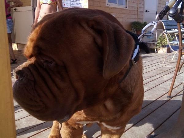 Single Fin Tuscany - foto 48692.jpg