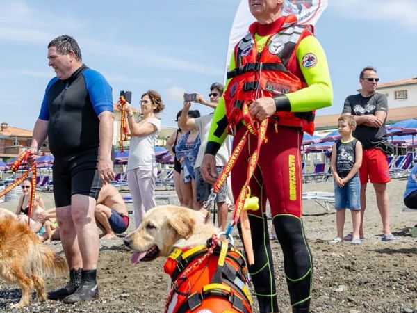 Single Fin Tuscany - foto 48697.jpg