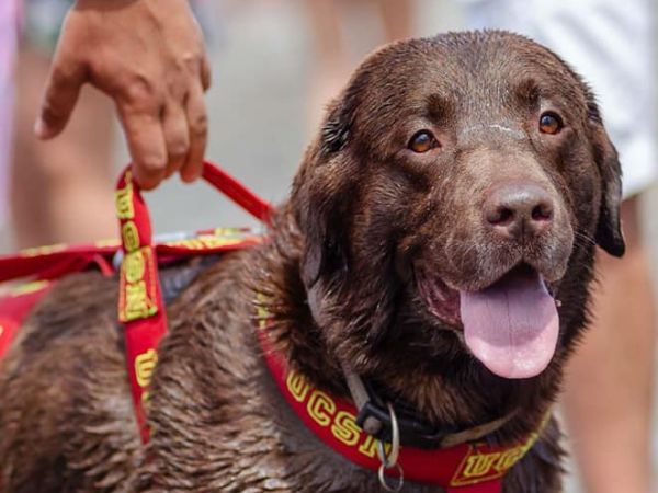 Single Fin Tuscany - foto 48698.jpg