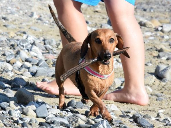 Resort Baia del Silenzio - foto 48922.jpg