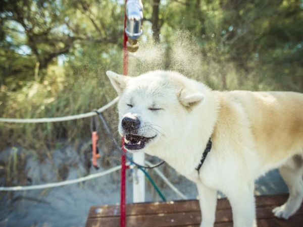 Club del Sole Adriano Family Camping Village - foto 48982.jpg