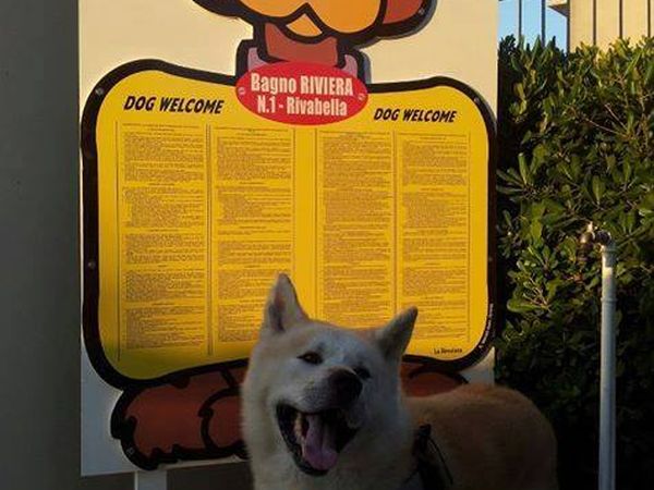 Hotel Del Vecchio - foto 49029.jpg