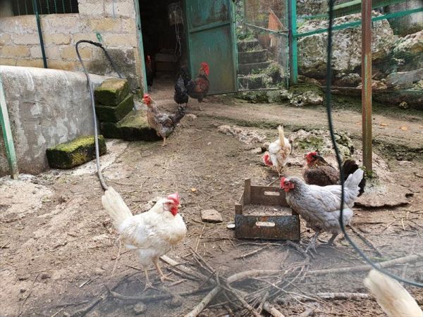 Agriturismo Pantalica Ranch - foto 49067.jpg