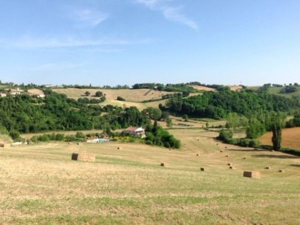 Agriturismo San Martino  - foto 49117.jpg