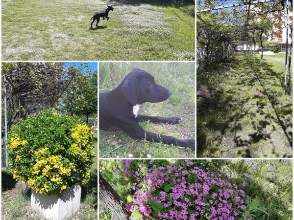 Hotel Del Vecchio - foto 49129.jpg