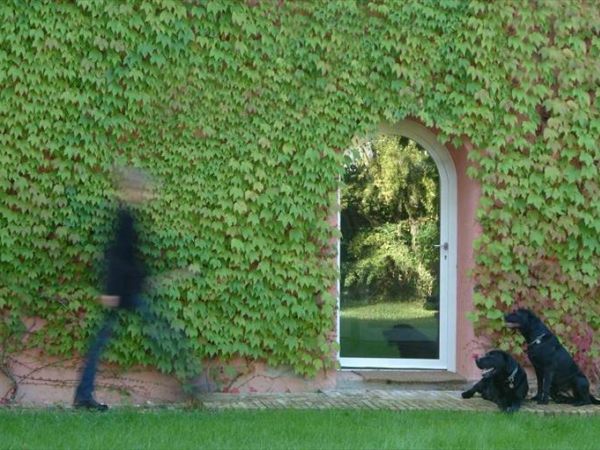 Residenza Le Versegge - foto 49154.jpg