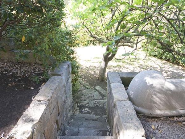 Cst Management - foto 49241.jpg