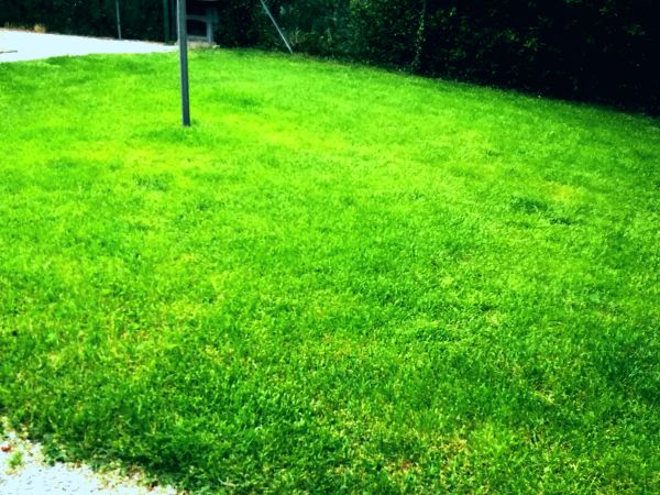 Agriturismo lOliveto - foto 49255.jpg