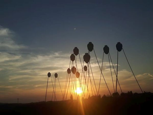 Fattoria La Loggia - foto 49279.jpg