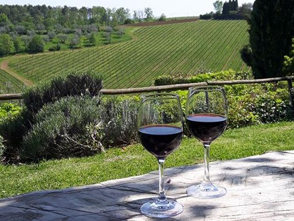 Fattoria La Loggia - foto 49285.jpg