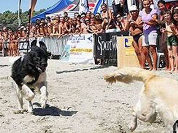 Aloha Beach   - foto 15249.jpg