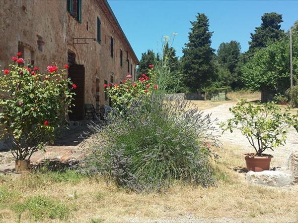 Podere Sortoiano - foto 49383.jpg