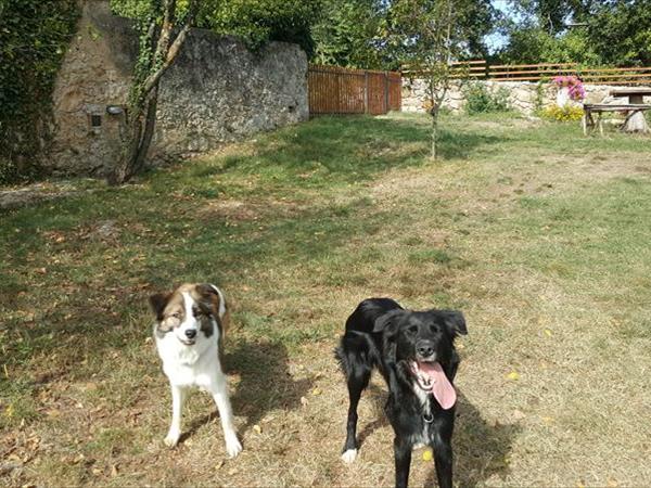 Podere Sortoiano - foto 49386.jpg