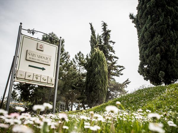 Agriturismo Salvadonica - Borgo del Chianti - foto 49416.jpg