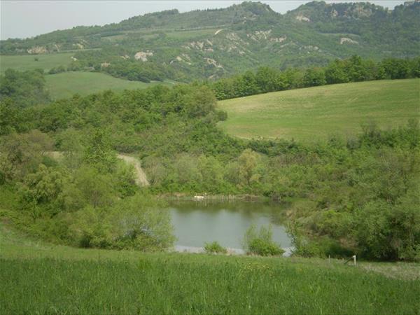 Agriturismo San Domenico - foto 49522.jpg