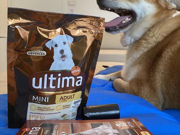 Mini-Hotel - foto 49652.jpg