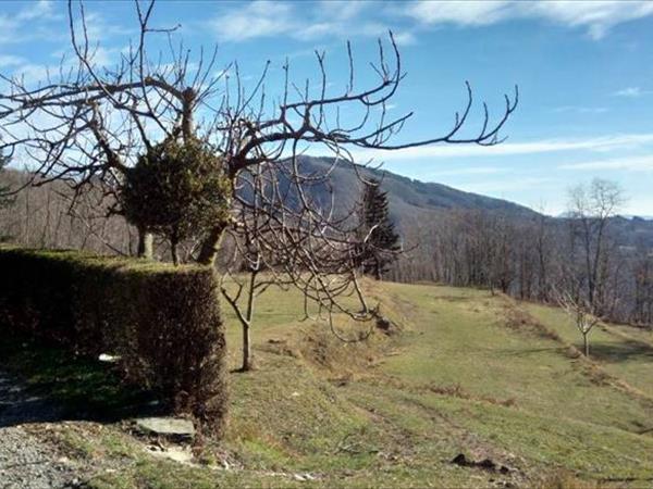 Ca di Barcola - foto 49702.jpg