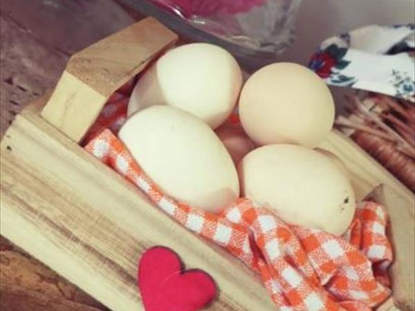 Ca di Barcola - foto 49708.jpg