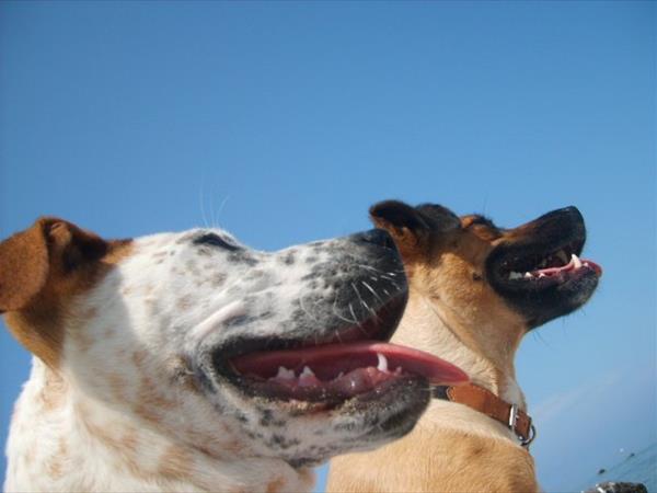 Hotel Villa Maredona - foto 49724.jpg