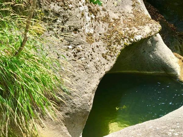 Agriturismo Le Querciole - foto 49759.jpg