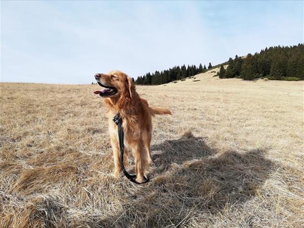 Hotel Vittoria - foto 49789.jpg