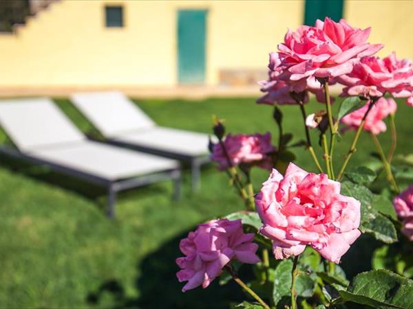 Poggiolivi Country House - foto 49853.jpg