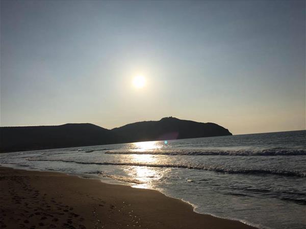 Agriturismo lOliveto - foto 49867.jpg